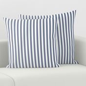 Vintage Navy Ombre Stripe