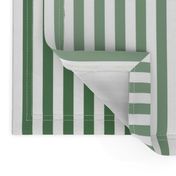 Vintage Green Ombre Stripe