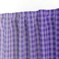 Deep Purple Ombre Gingham