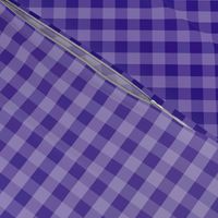 Deep Purple Ombre Gingham