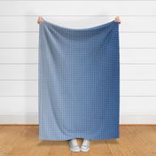 Marine Blue Ombre Gingham