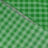 Kelly Green Ombre Gingham