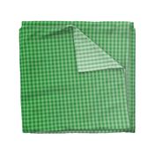 Kelly Green Ombre Gingham