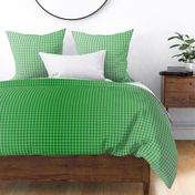 Kelly Green Ombre Gingham