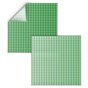 Kelly Green Ombre Gingham