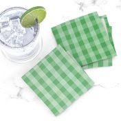 Kelly Green Ombre Gingham