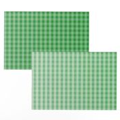 Kelly Green Ombre Gingham