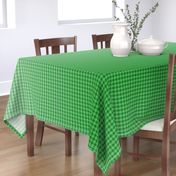 Kelly Green Ombre Gingham