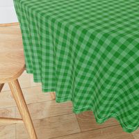 Kelly Green Ombre Gingham