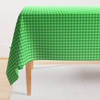 Kelly Green Ombre Gingham