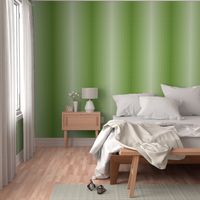 Avocado Green Ombre Gingham