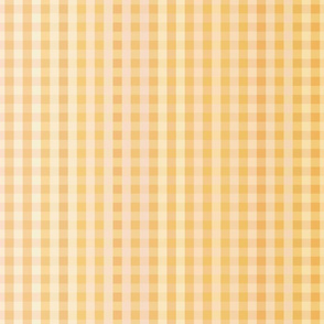 Tangerine Ombre Gingham