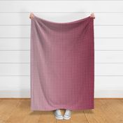 Deep Red Ombre Gingham