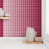 Deep Red Ombre Gingham