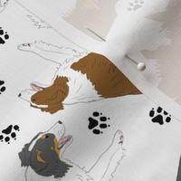 Trotting Border Collies and paw prints - white