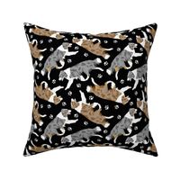 Trotting Border Collies and paw prints B - black