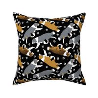 Trotting Border Collies and paw prints C - black