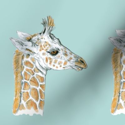 Custom Baby Giraffe on Turquoise