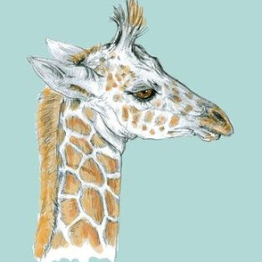 Custom Baby Giraffe on Turquoise