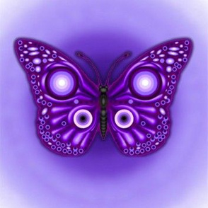 Purple Butterfly Fierce