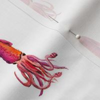 Single Watercolour Squid