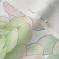 Hand Painted Succulent Wallpaper