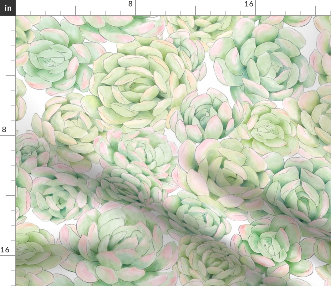 Hand Painted Succulent Wallpaper