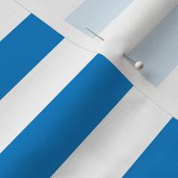 Stripes - Horizontal - 1 inch (2.54cm) - White (#FFFFFF) & Blue (#0081C8)