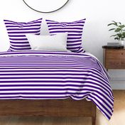 Stripes - Horizontal - 1 inch (2.54cm) - White (#FFFFFF) & Purple (#4D008A)