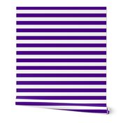 Stripes - Horizontal - 1 inch (2.54cm) - White (#FFFFFF) & Purple (#4D008A)