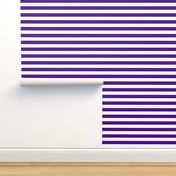 Stripes - Horizontal - 1 inch (2.54cm) - White (#FFFFFF) & Purple (#4D008A)