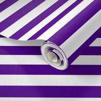 Stripes - Horizontal - 1 inch (2.54cm) - White (#FFFFFF) & Purple (#4D008A)