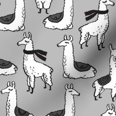 Llamas - Slate by Andrea Lauren 