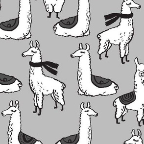Llamas - Slate by Andrea Lauren 