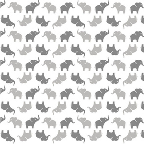 ELEPHANTS - GRAY