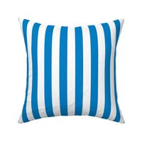 Stripes - Vertical - 1 inch (2.54cm) - Bright Blue (#0081C8) & White (#FFFFFF)