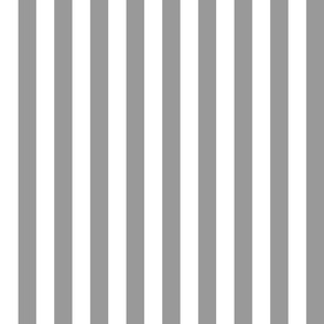 Stripes - Vertical - 1 inch (2.54cm) - Light Gray (#99999A) & White (#FFFFFF)