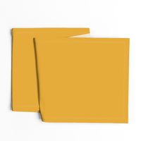 solid mustard yellow (E3A933)