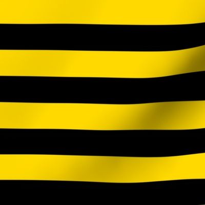 Stripes - Horizontal - 1 inch (2.54cm) - Yellow  (#FFD900) & Black (#000000)