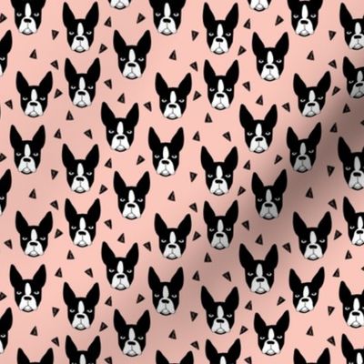 boston terriers // pink girls sweet mini dog dog faces dog breeds