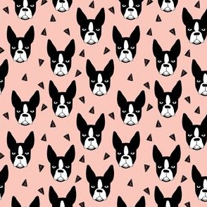 boston terriers // pink girls sweet mini dog dog faces dog breeds