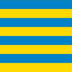 Horizontal Stripes - 1 inch wide - yellow (#FFD900) & Blue (#0081C8)