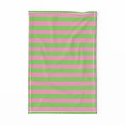 Stripes - Horizontal - 1 inch (2.54cm) - Pale Green (89DA65) and Light Pink (FBA0C6)