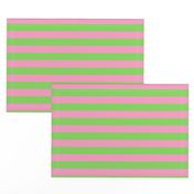 Stripes - Horizontal - 1 inch (2.54cm) - Pale Green (89DA65) and Light Pink (FBA0C6)