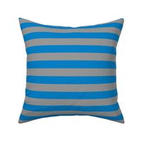 Stripes - Horizontal - 1 inch (2.54cm) - Light Blue (0081C8) and Grey (99999A)