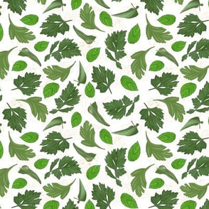 Botanical Sketchbook: Leaves Bg-White