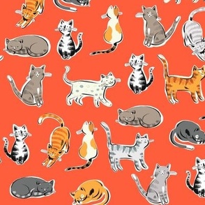 kitties on orange (small)