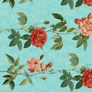 Antique_Roses_in_rows_on_Blue