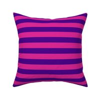 Horizontal Stripes - 1 inch wide - Purple (#4D008A) & Pink (#DD2695)