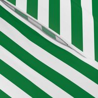 Stripes - Horizontal - 1 inch (2.54cm) - Mid Green (#00813C) & White (#FFFFFF)